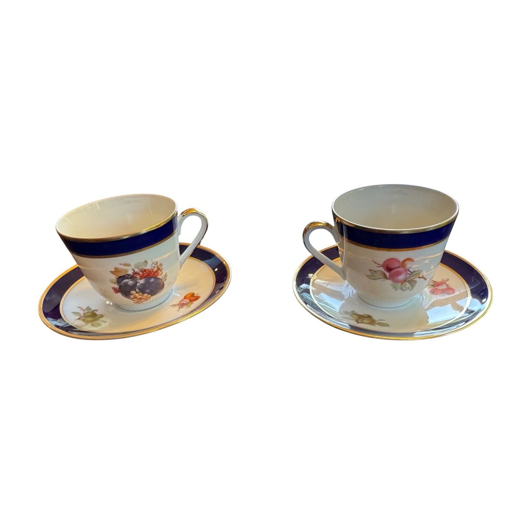 Vintage Schumann Arzberg Bavaria Echt Cobalt Bountiful Teacup Saucer Set